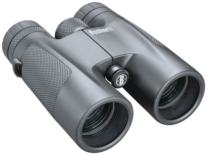 BINBUSH POWERVIEW 10X42 ROOF PRISM